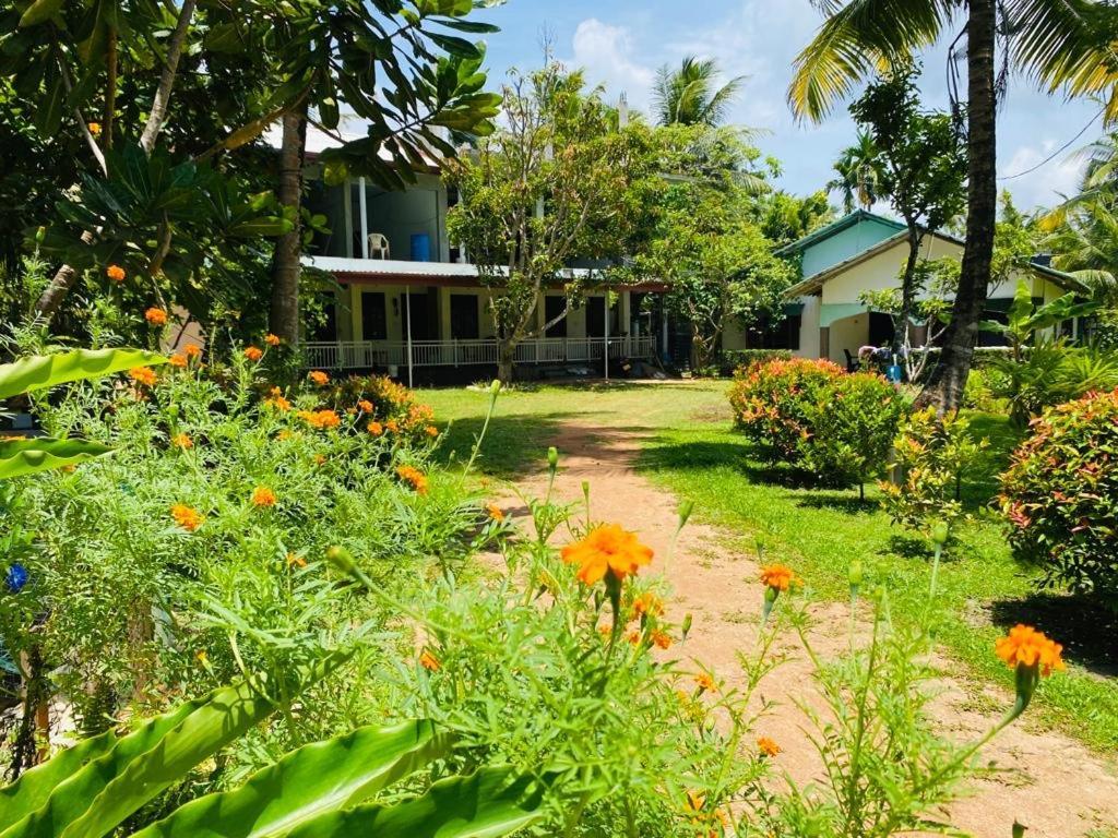 Coconut Grove - Midigama Hotel Exterior photo