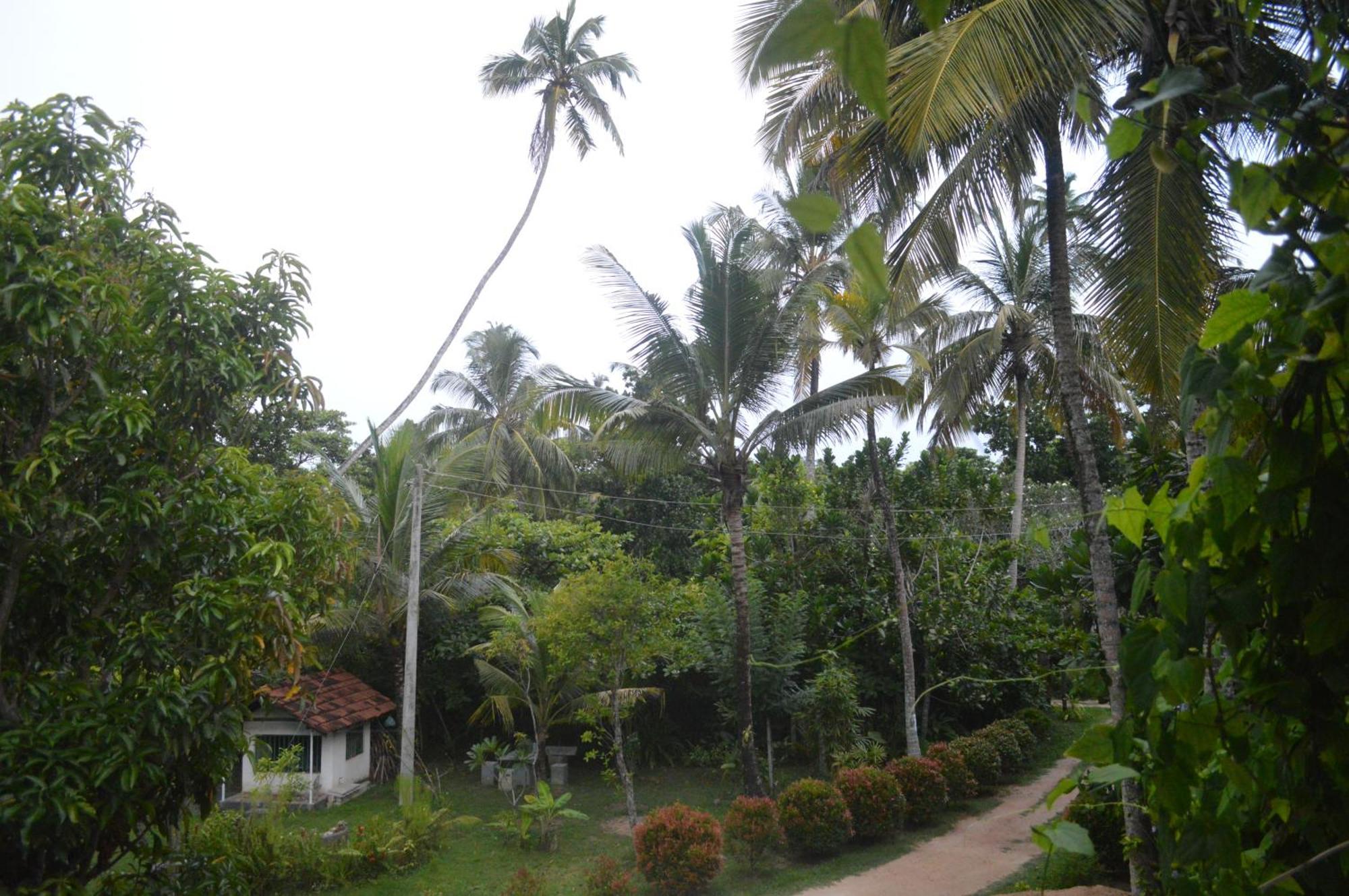Coconut Grove - Midigama Hotel Exterior photo