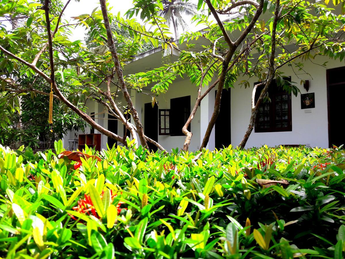 Coconut Grove - Midigama Hotel Exterior photo