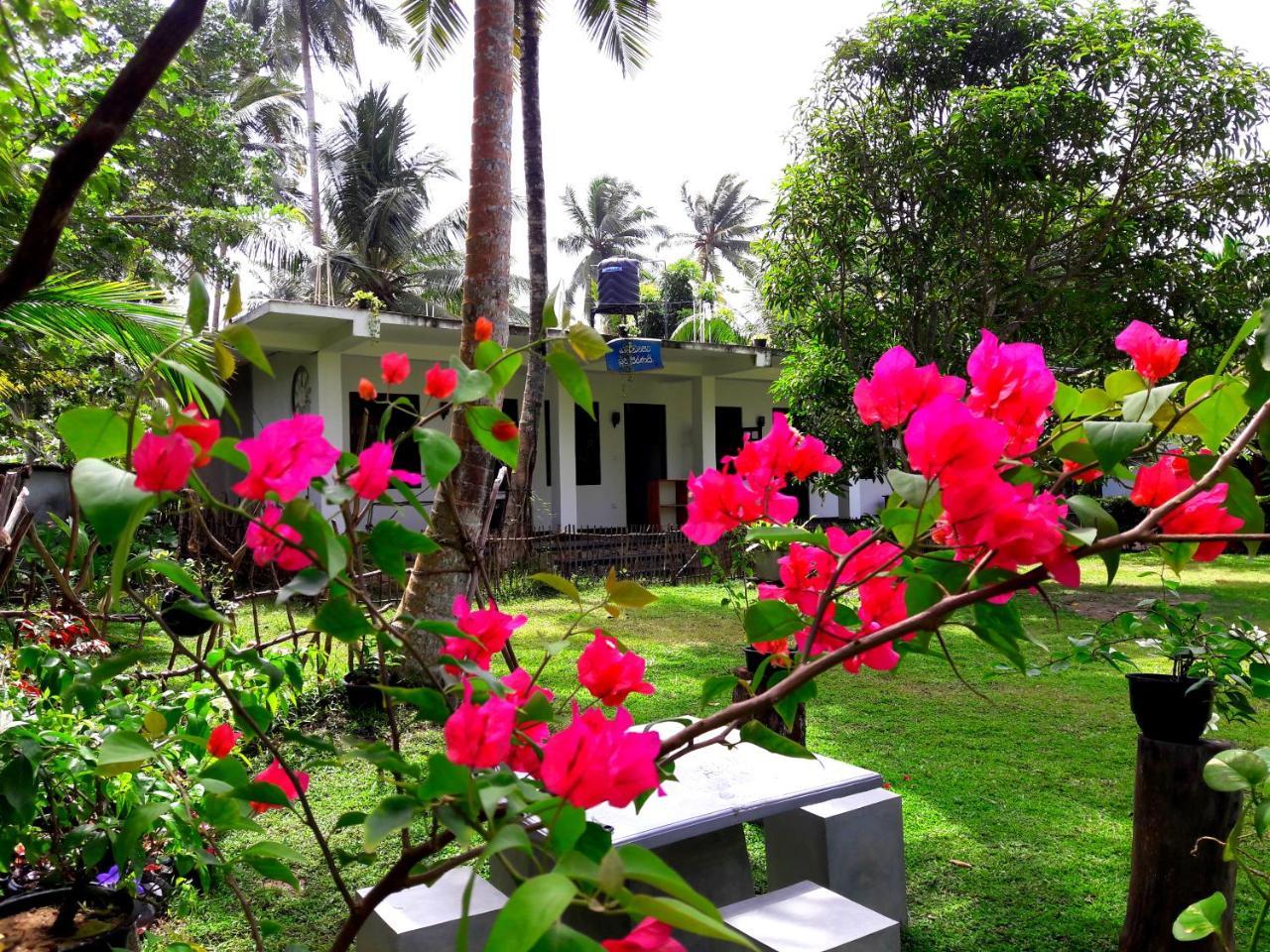 Coconut Grove - Midigama Hotel Exterior photo